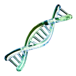 Brand Design & Gestaltung der Werbemittel